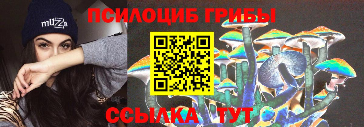 Псилоцибиновые грибы MAGIC MUSHROOMS  Вход с VPN  Нефтекамск  Псилоцибиновые грибы Cubensis 